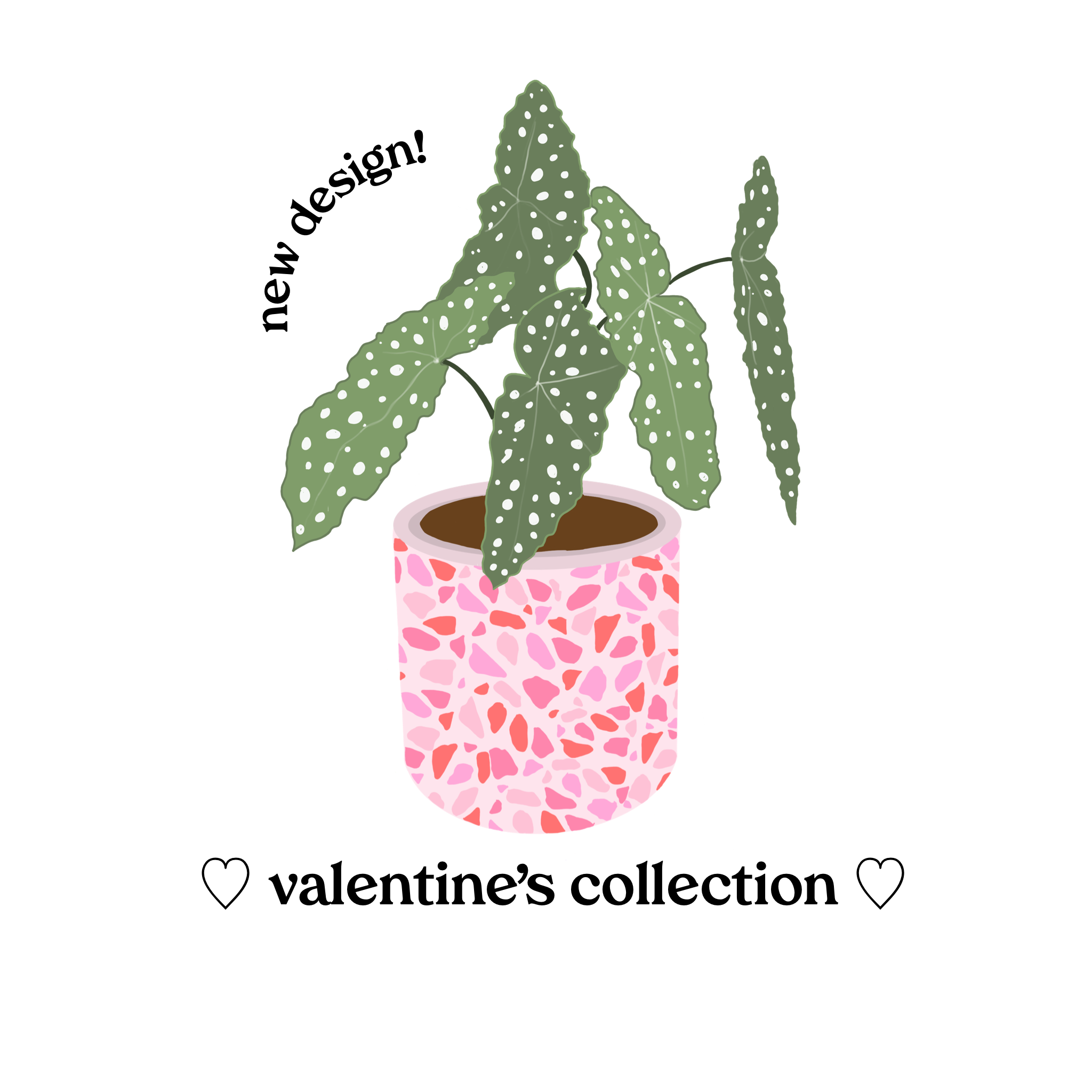 large terrazzo pot / choose from 7 designs!