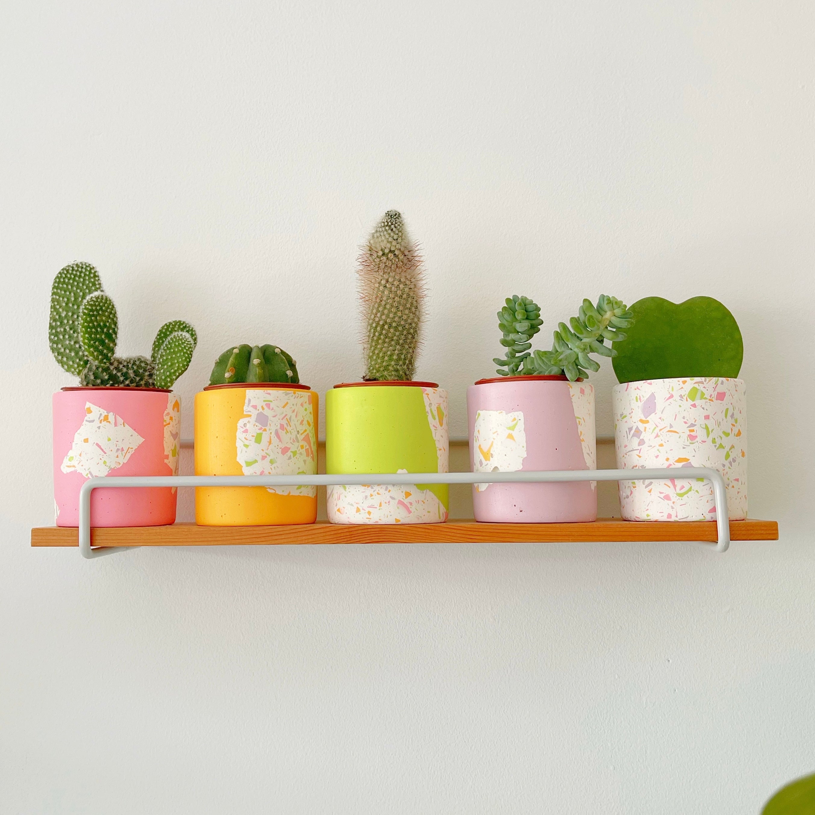 Mini Cactus + Handmade Ceramic Pink + White Mini Planter