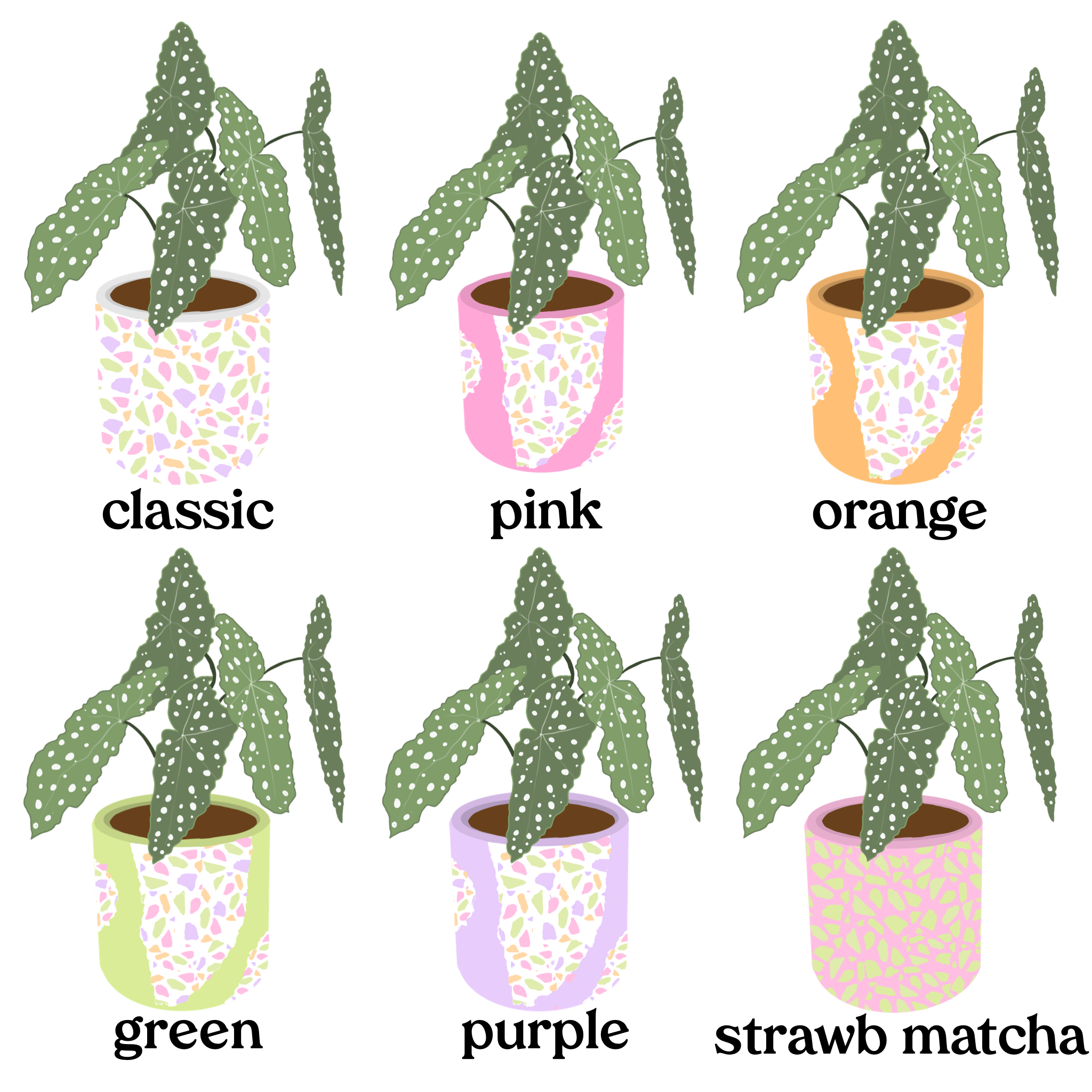 large terrazzo pot / choose from 7 designs!