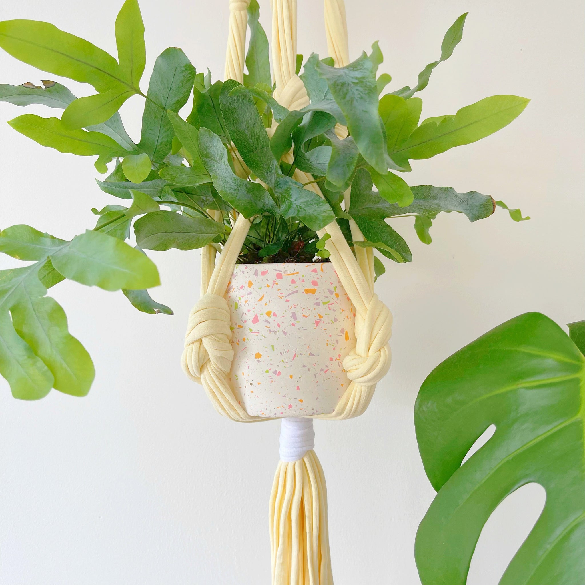 pink and yellow plant hanger